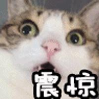 香港全面禁止电子烟立法通过了吗,香港全面禁止电子烟原因揭秘