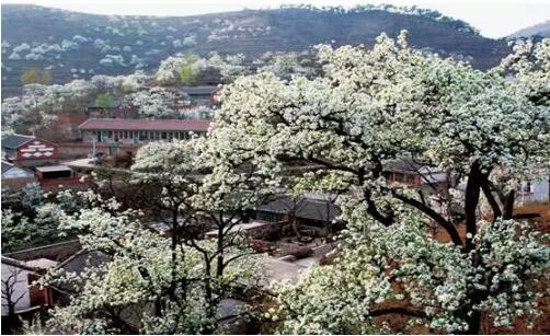 现代都市农业项目投资,都市农业有前景吗