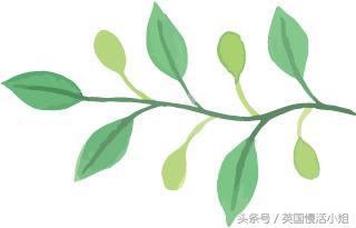 塞舌尔自由行十大必去景点,塞舌尔旅游攻略国内旅行