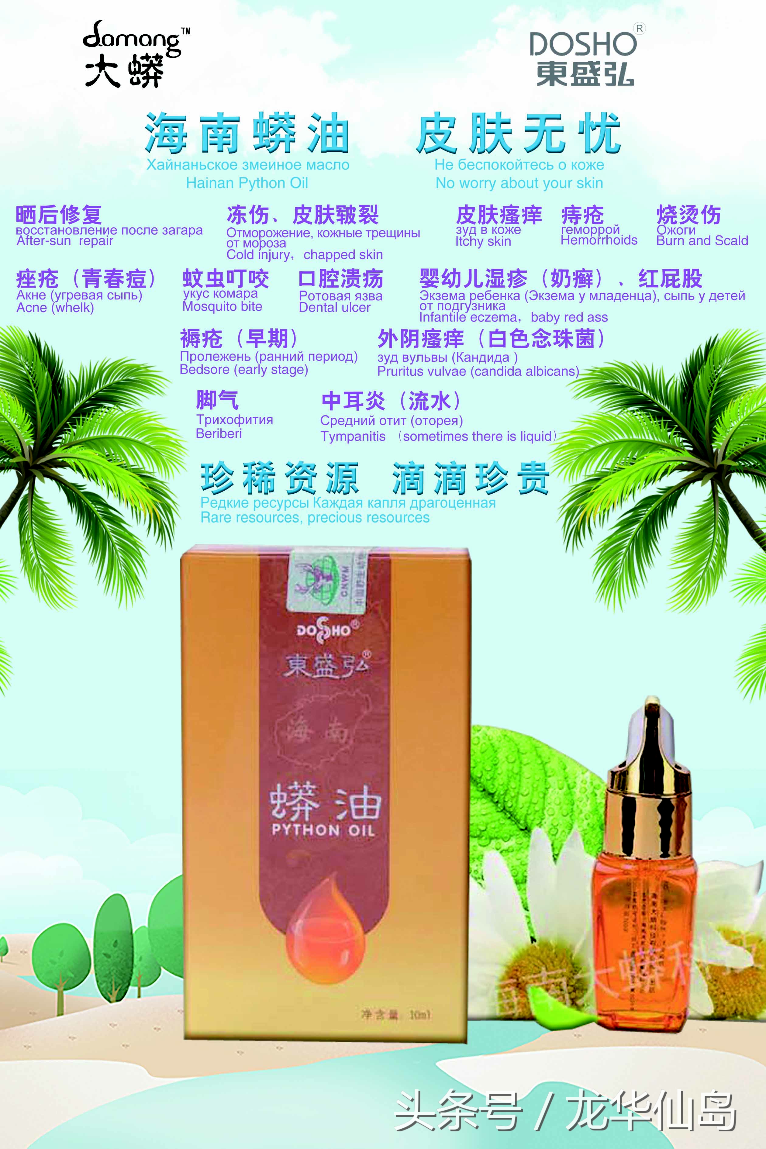 热带雨林探险之旅遇见蛇,亚公顶森林公园蟒蛇