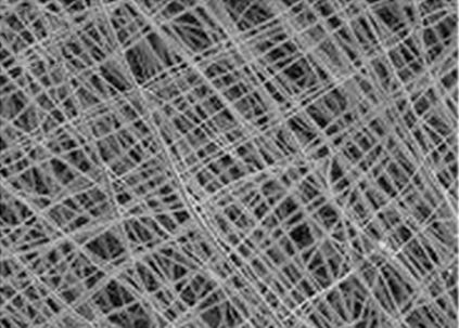 「万万没想到」为什么过了水的纸就会变皱而且恢复不了？