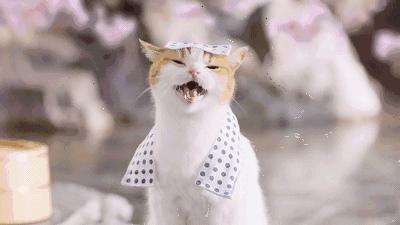 藏于山水间的温泉酒店推荐,一家来了就不想走的温泉酒店