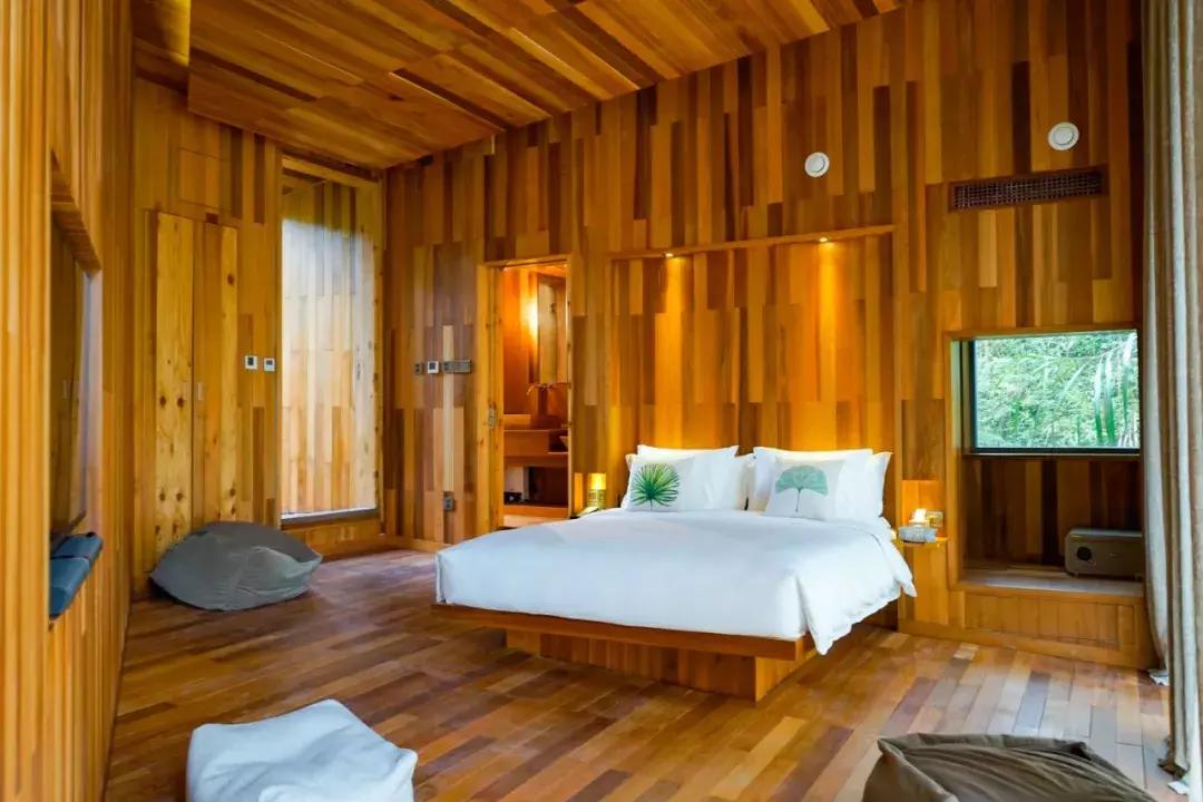 这片媲美京都的红叶之森只藏15栋梦幻树屋，杭州1.5h直达！