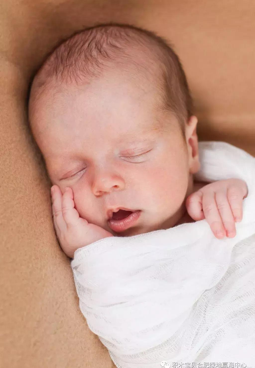 积木宝贝育儿,积木宝贝育儿经