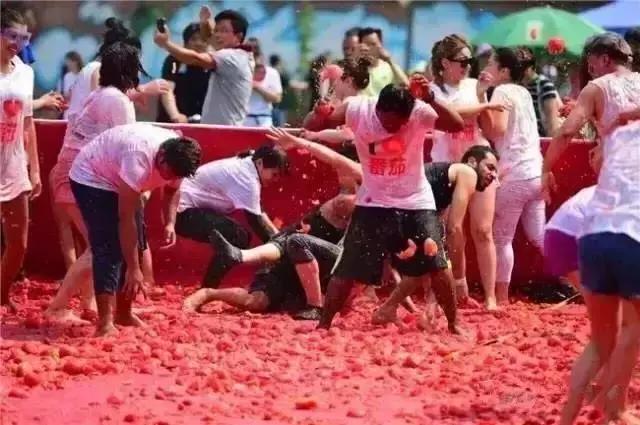 番茄联合国庄园,番茄联合国