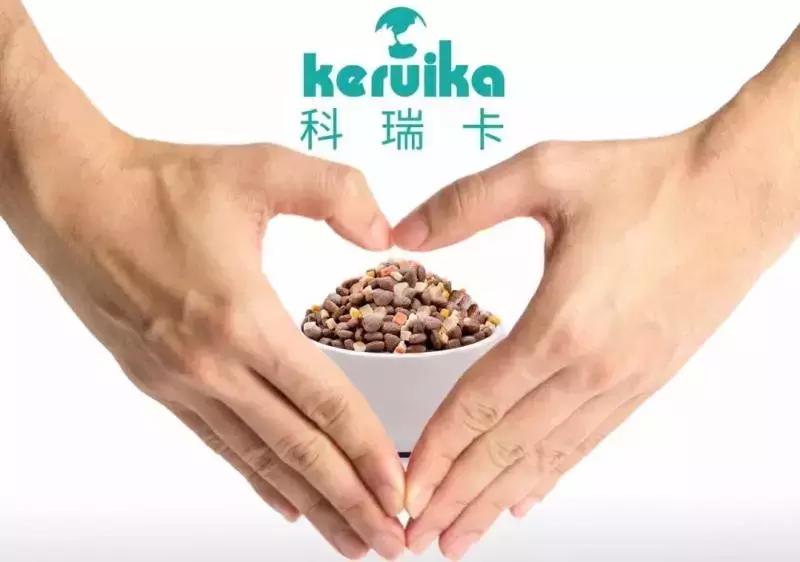 泰迪狗咳嗽怎么办？「科瑞卡科普」