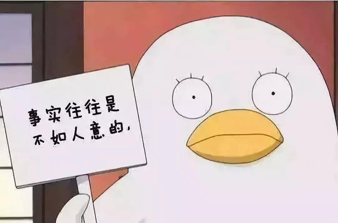 双十一来了还能买到正品吗,双十一哪个电商平台便宜