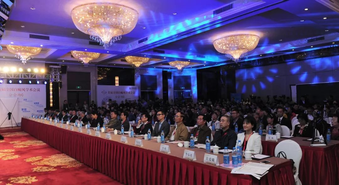 第二届全国白癜风学术会议,白癜风会议