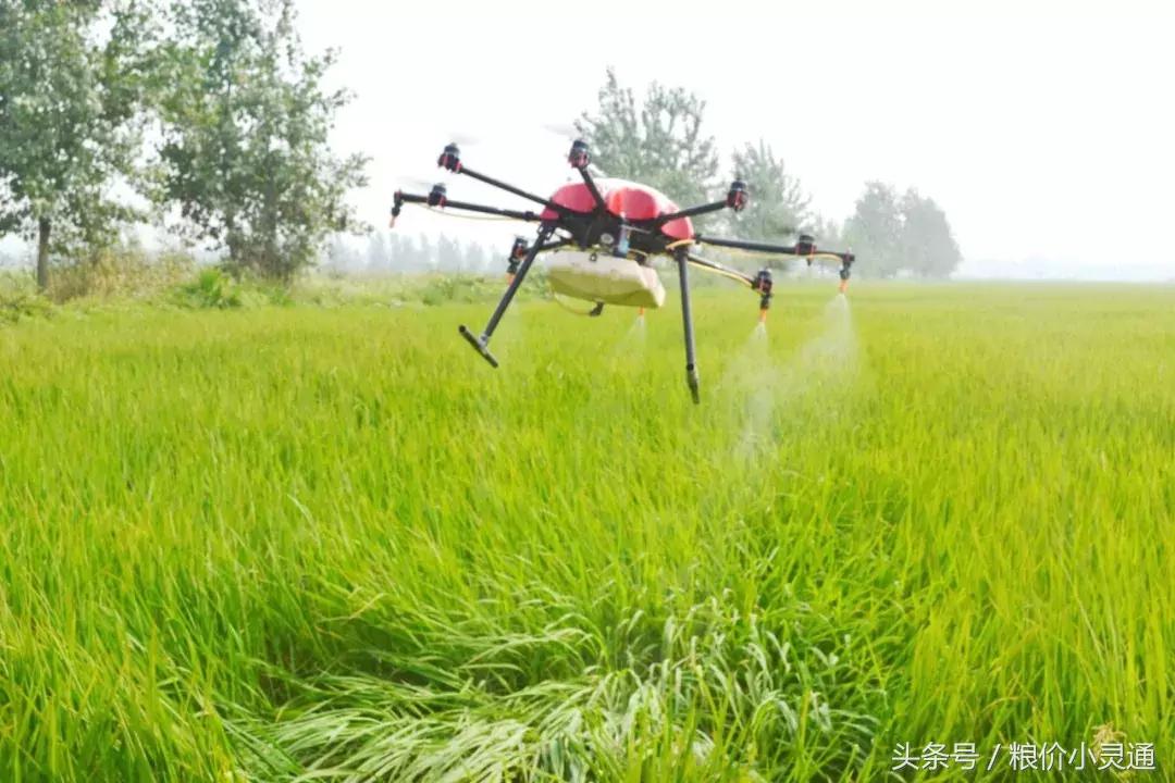 农村种地创业哪个项目好,农业小本创业方法