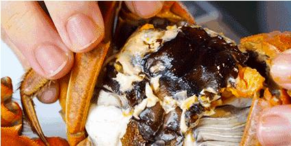 太原这家网红小海鲜！为了吃这个No.1的蟹，我足足等了一年！因为