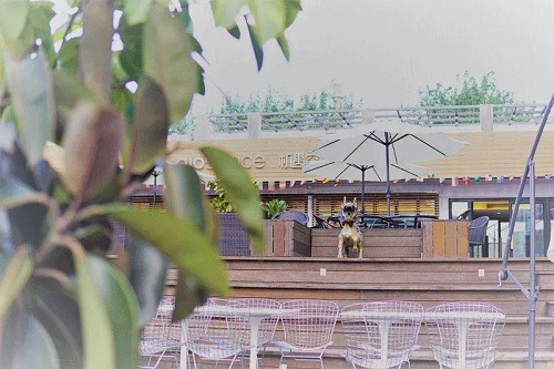 机遇空间怎么用,机遇空间怎么停车