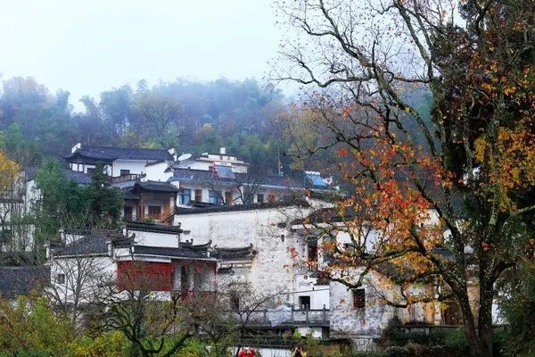 秋天的安徽,这才是安徽秋天该有的样子