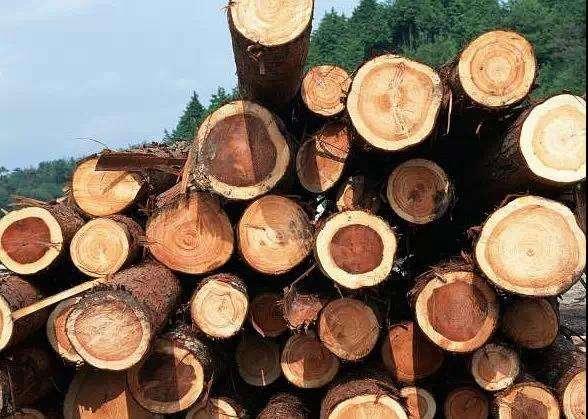 黑胡桃和樱桃木有什么区别,什么是黑胡桃原木纹理