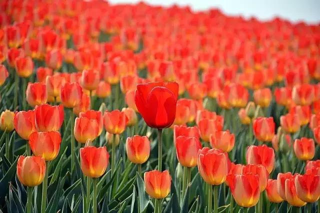 大连到四川自驾游路线经典攻略,大连到长白山自驾游攻略沿途景点