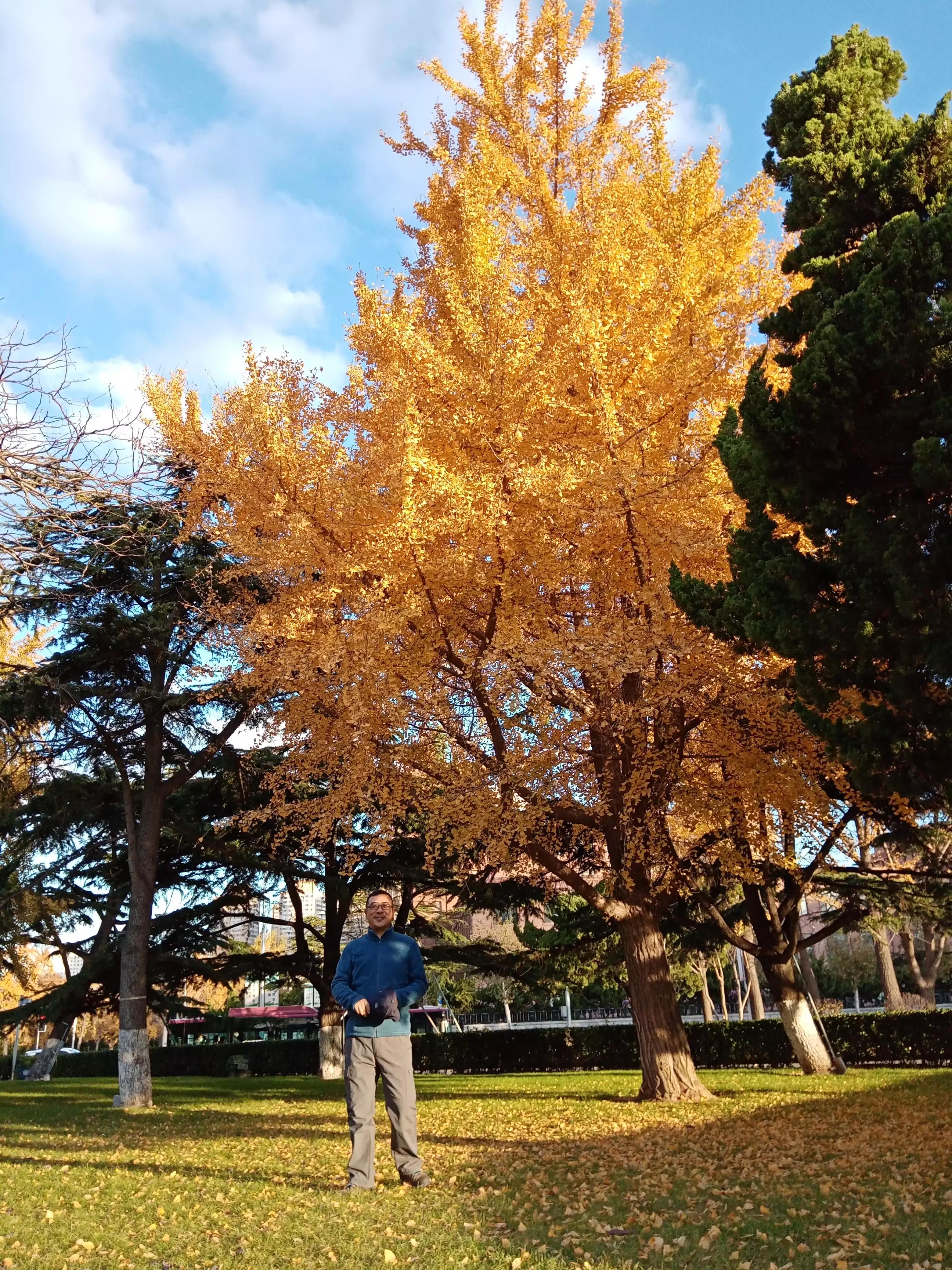 美丽大连,最美大连人民广场