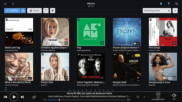 Roon的最佳解答：RoonNucleus音乐服务器