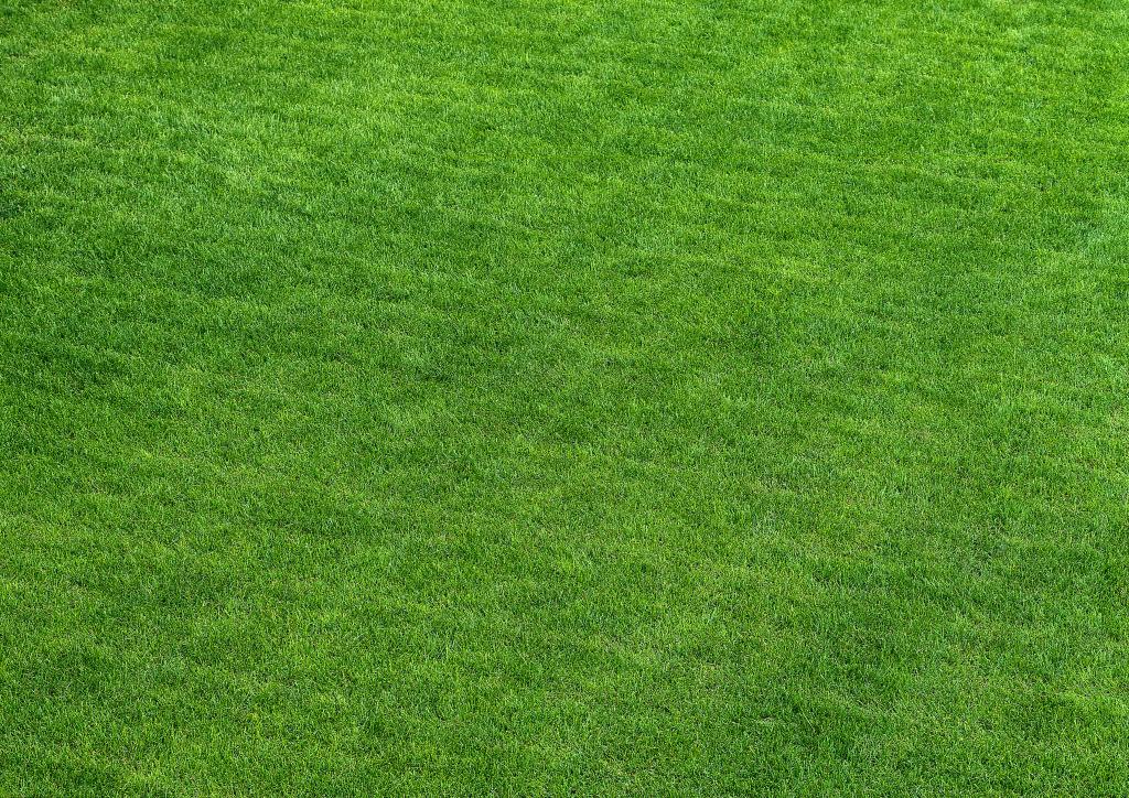 《我的团长我的团》第58、59、60章（兰晓龙著小说）