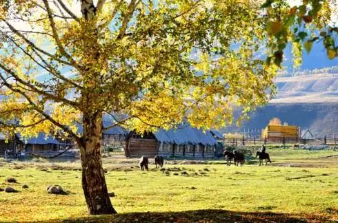 网购新疆为什么不包邮,为什么在网上买东西新疆不包邮