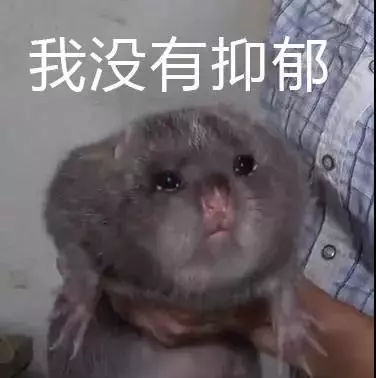 全国最魔性的方言东北话,最难懂的方言中国方言排行榜