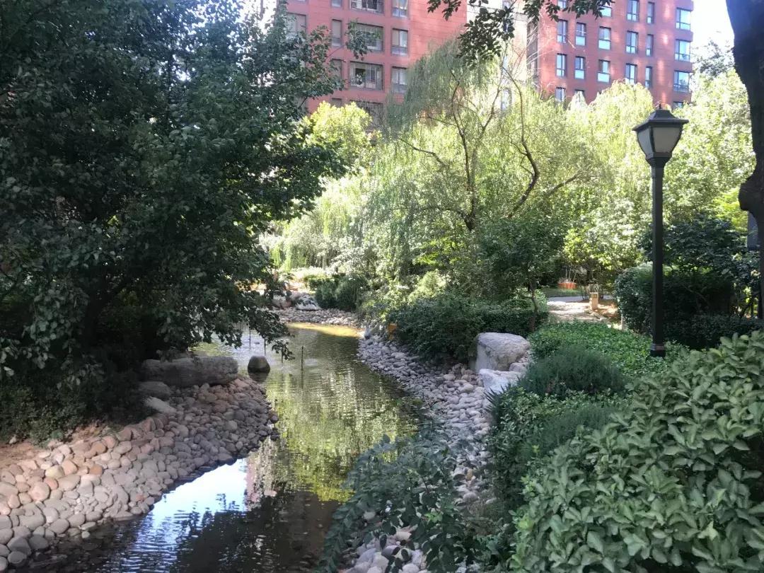 石家庄最好的小区房价,石家庄房价最贵10大成熟小区