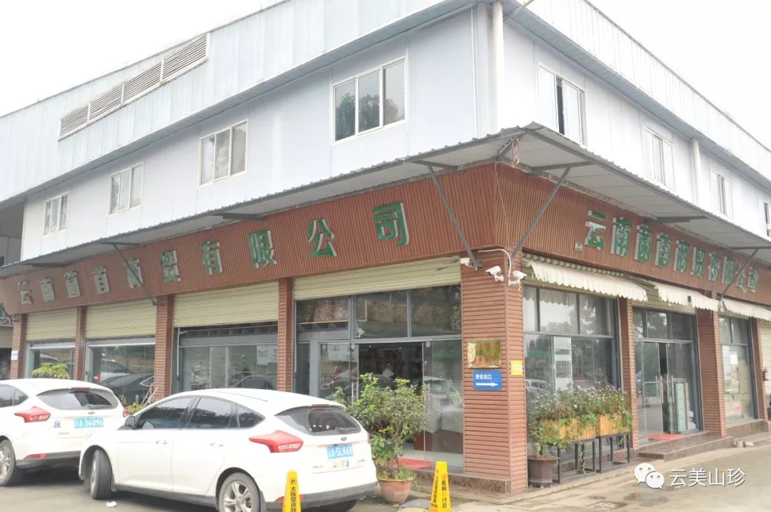 四季山珍专营云南野生菌,云南山珍野菌一手货源