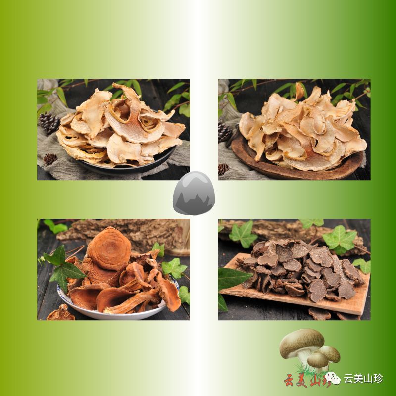 四季山珍专营云南野生菌,云南山珍野菌一手货源