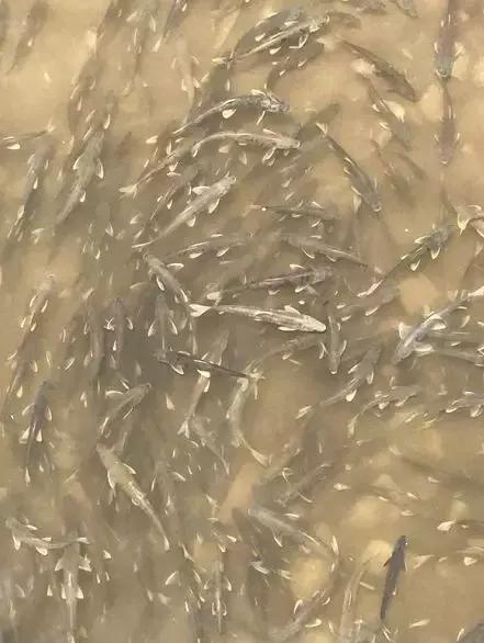 美爆了一大波青海冬日奇景,青海神秘奇景