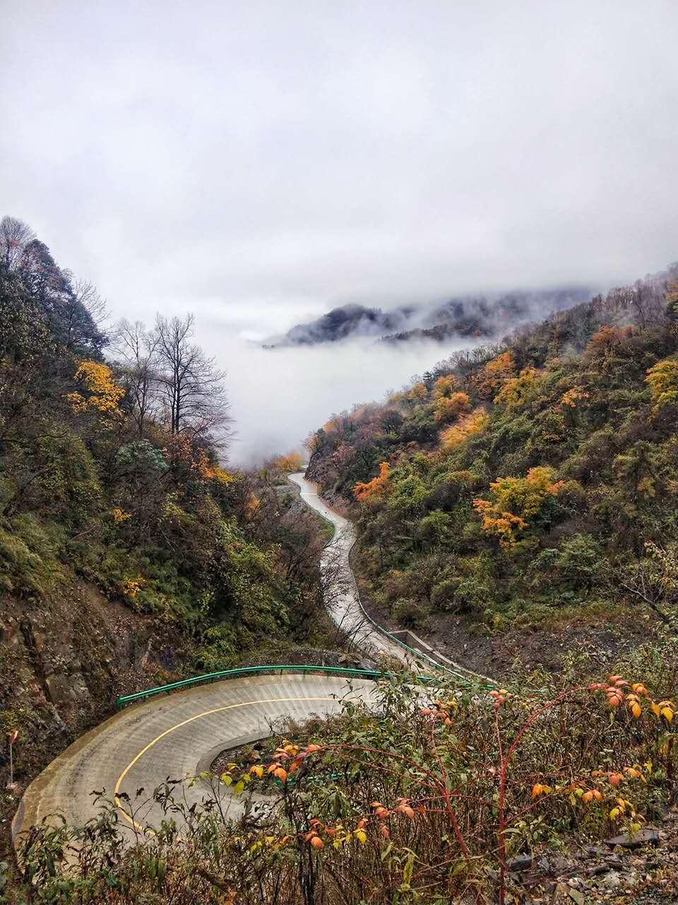 秋景西安好去处,雨后遇晴天留坝寻秋色