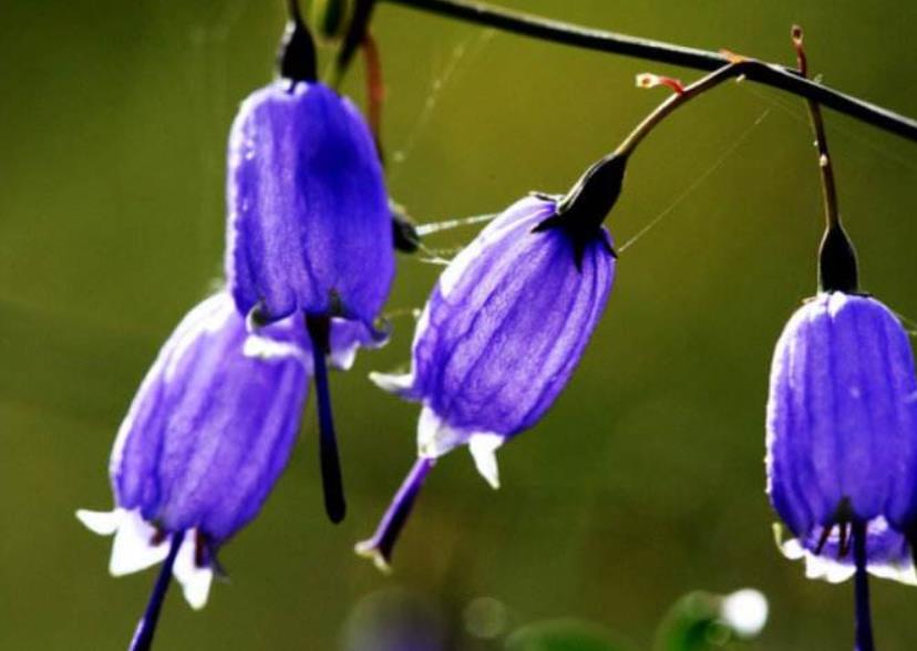 善待没脾气的人,做人要善待每一个人