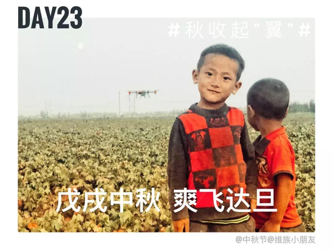 备好酒，听我们秋收起“翼”的故事！