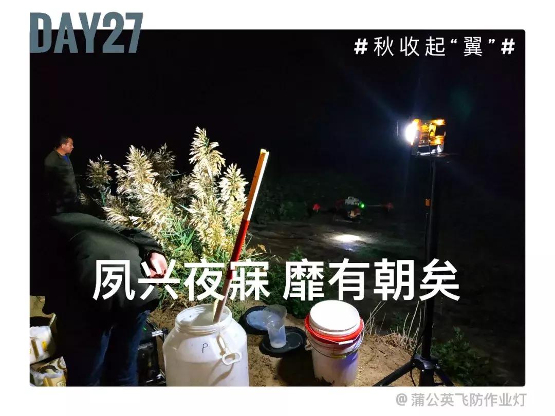 备好酒，听我们秋收起“翼”的故事！
