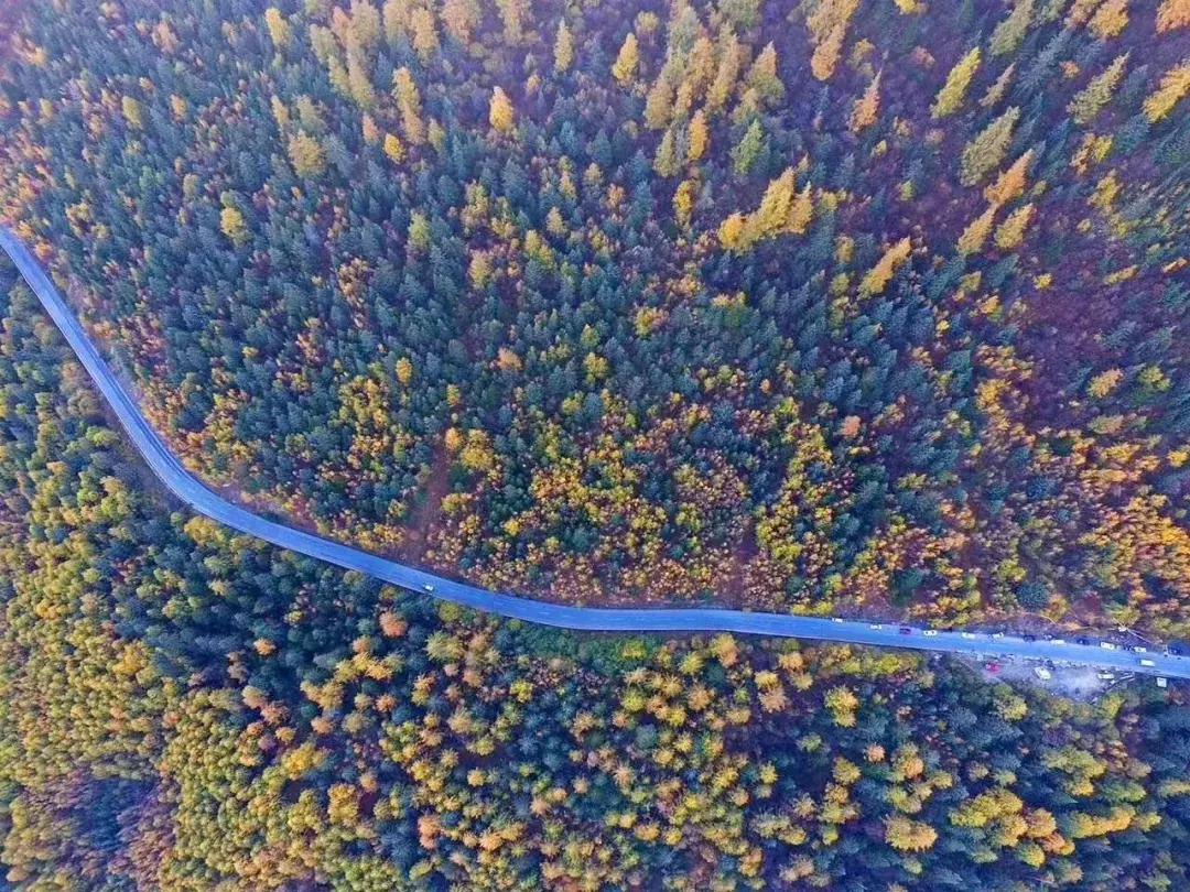 阿坝赏秋一日游,带你看阿坝州秋天的美景