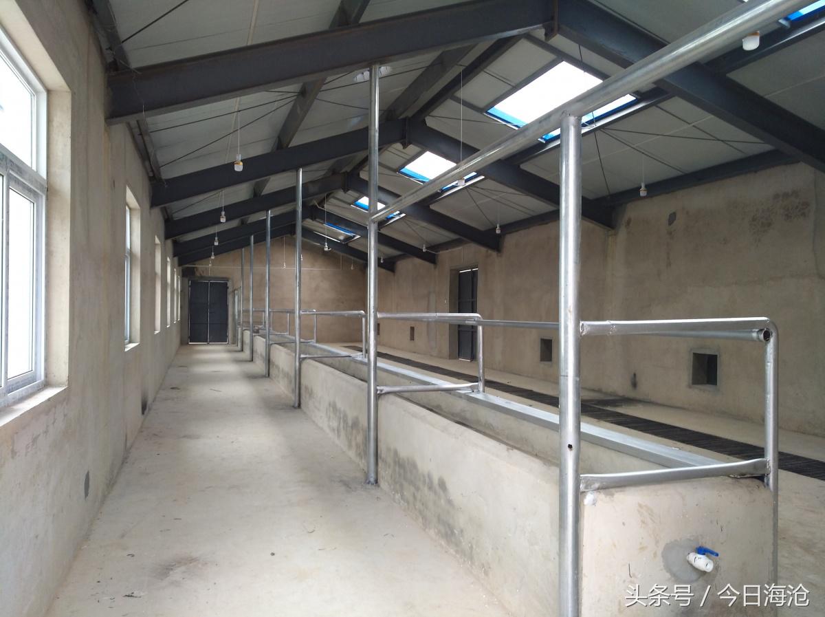 海沧区东西部扶贫协作,脱贫攻坚助力贫困户增加收入