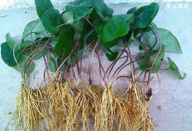 走进云南宣威,走进宣威市