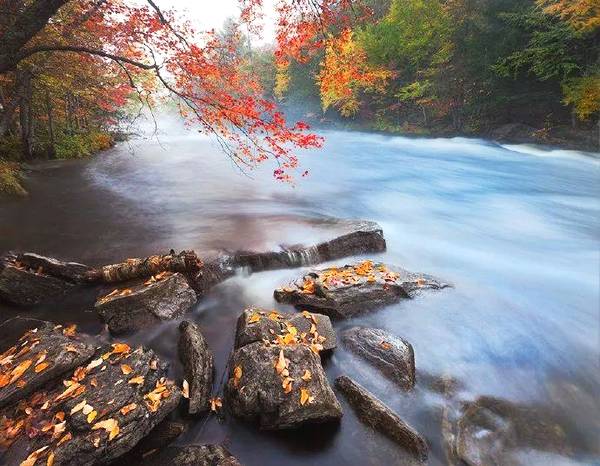 清代诗最好的古诗,清诗三百首经典欣赏