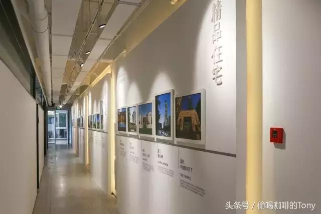 中国女排喝的茶,中国女排喝咖啡