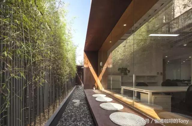 中国女排喝的茶,中国女排喝咖啡