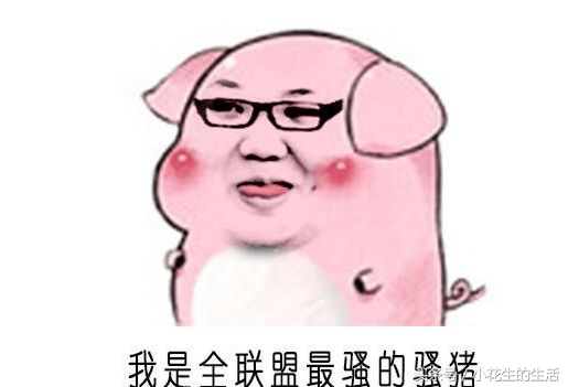 大司马和骚猪,骚猪和大司马