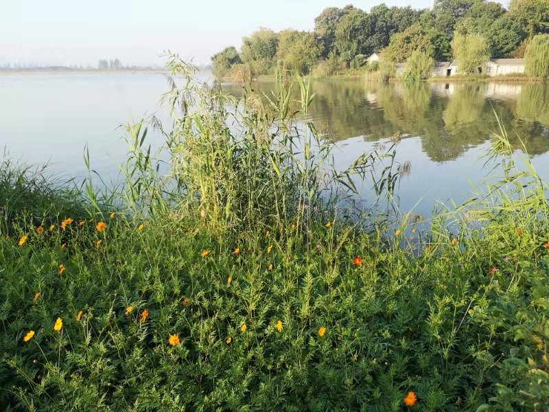 一年有365天英语怎么说,365天每天一句英语句子