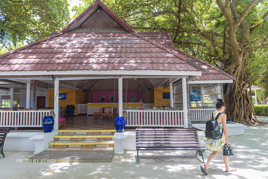 适合蜜月沉浸式度假的地方,世界十大蜜月度假岛