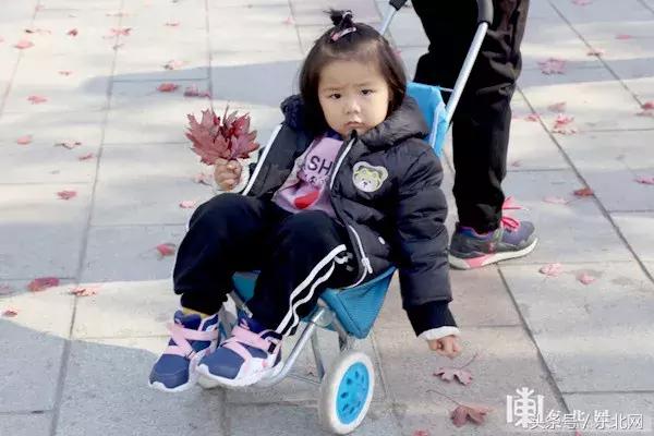 哈尔滨高校打卡,哈尔滨的风向标著名打卡地