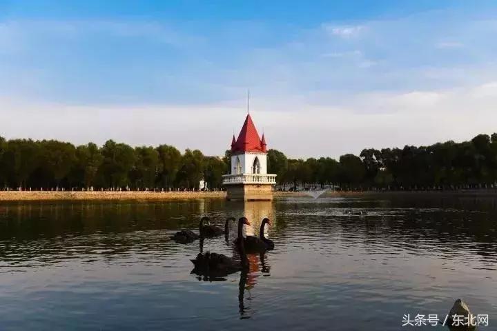 哈尔滨高校打卡,哈尔滨的风向标著名打卡地