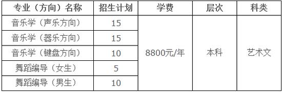 烟台大学2020年收艺考生吗,烟台大学艺考招生简章