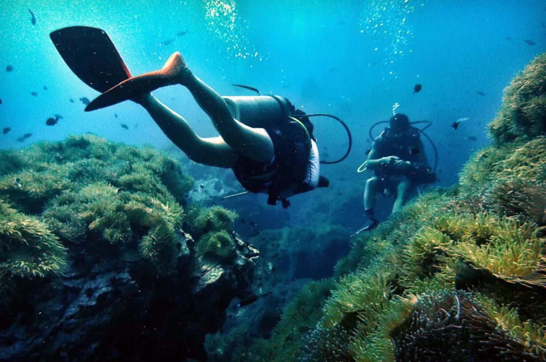 妈妈和孩子一起解决问题,妈妈和宝宝一起生病怎么办