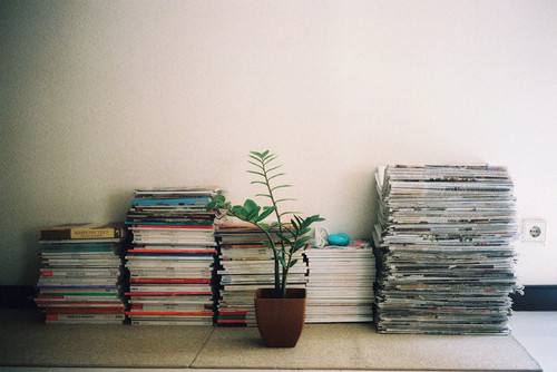 描写校园美好的好句,校园一角的好词好句好段