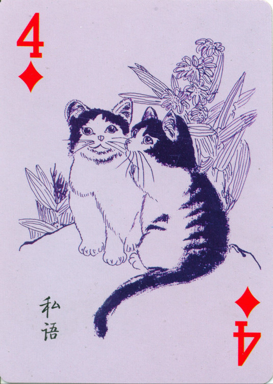 猫谱扑克欣赏,明星扑克牌欣赏