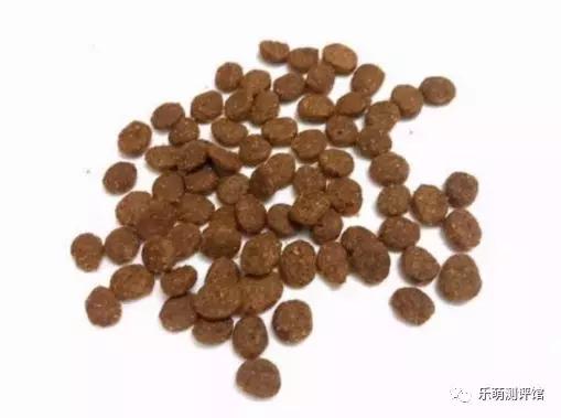 金装猫粮哪种最好,性价比高的猫粮测评真实