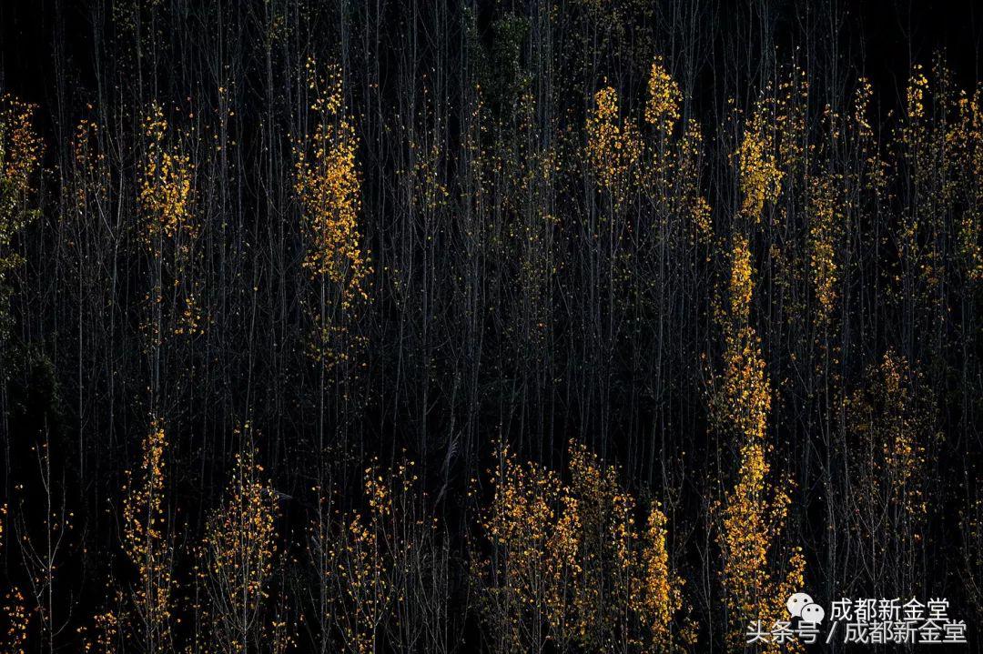 金堂秋色,秋天金堂十大必去景点