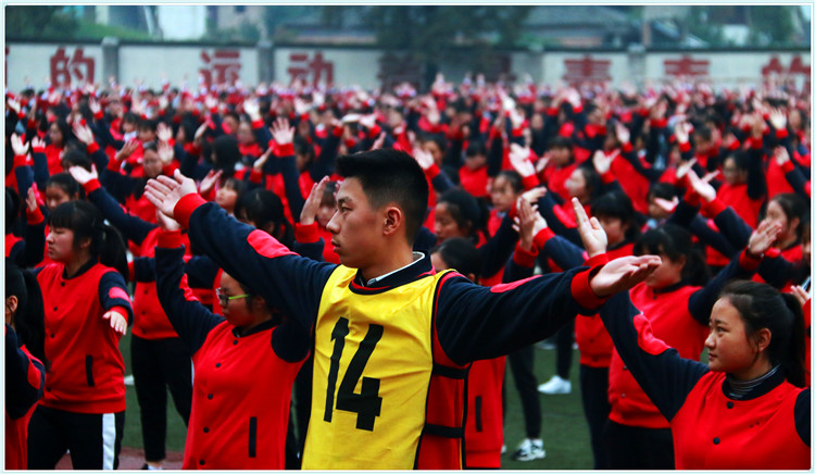 全国足球特色学校评估,四川省洪雅县中小学足球比赛