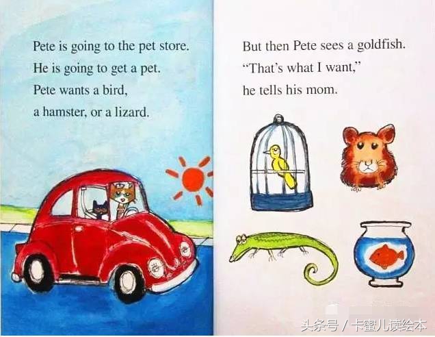 英语绘本《APetForPeter》,英语绘本peterrabbit